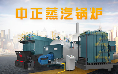 美國FLIR菲力爾 VS70防振工業視頻內窺鏡